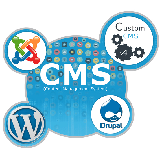 Top CMS Development Company in Jaipur INDIA